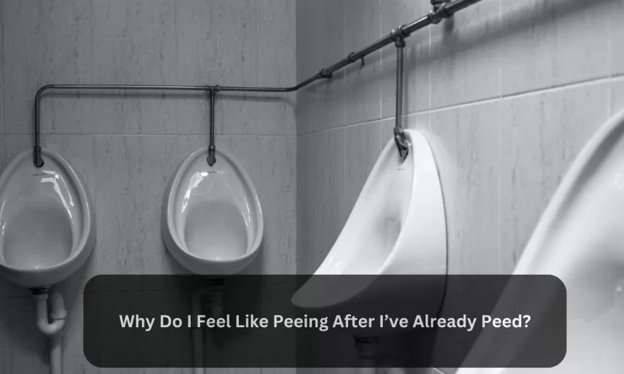 why do i feel like i have to pee after i already peed